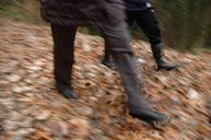 movement-run-go-walk-autumn-536650.jpg