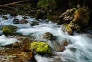 stream-torrent-river-tatry-poland-1310659.jpg