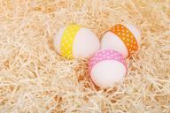 Easter-Eggs-On-Straw.jpg