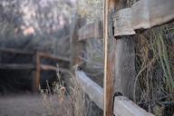 fence-path-rustic-641784.jpg