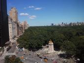 central-park-new-york-city-trees-253902.jpg