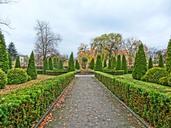 turwid-square-bydgoszcz-park-garden-904196.jpg