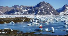 icebergs-fjord-greenland-arctic-889770.jpg