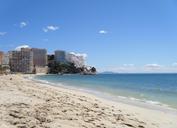 palm-trees-palma-beach-sand-sea-500489.jpg