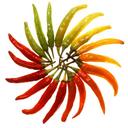 paprika-chili-sharp-chili-peppers-8862.jpg