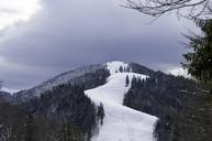 cold-december-forest-frost-frozen-1122711.jpg