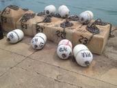 buoys-waterfront-water-harbor-pier-785816.jpg