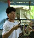 cobra-trainer-snakes-dangerous-1571841.jpg