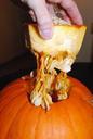 pumpkin-seeds-halloween-carving-480385.jpg