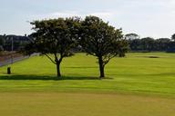 golf-course-golf-course-landscape-965925.jpg