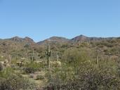 desert-cactus-nature-landscape-dry-417036.jpg