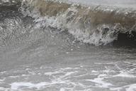 wave-water-sea-coast-surf-spray-527984.jpg