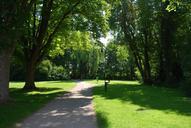 park-trail-path-peaceful-shade-454416.jpg