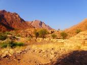 shrubs-rocks-green-sand-cliffs-214524.jpg