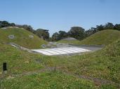 california-academy-of-sciences-356882.jpg