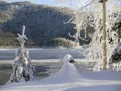 sunny-winter-cold-snow-ice-trees-58509.jpg