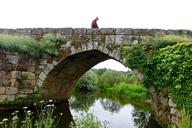 bridge-reflection-archway-scenic-1354522.jpg