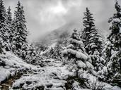 winter-landscape-snow-1328980.jpg