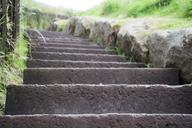 steps-grass-green-dunnottar-nature-1531406.jpg