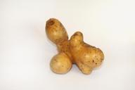 potato-garden-vegetables-eat-food-967176.jpg