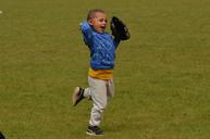 sports-baseball-child-ball-glove-1431639.jpg