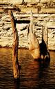 quarry-stump-water-natural-scenery-1696646.jpg