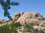 joshua-tree-national-park-california-55720.jpg