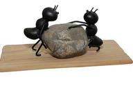 ants-strong-stone-power-nature-1169349.jpg