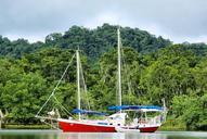 sailboat-river-rainforest-889767.jpg