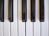 piano-musical-keyboard-instrument-70798.jpg