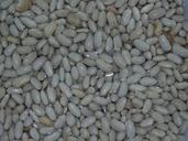 beans-water-white-1144563.jpg