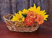 sunflowers-flowers-basket-yellow-82853.jpg