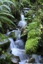 nature-waterfall-outdoor-forest-503452.jpg