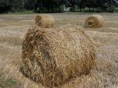 straw-field-landscape-bale-harvest-171572.jpg