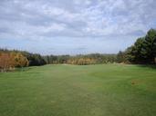 golf-golfcourse-course-fairway-72556.jpg