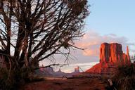 monument-valley-evening-sunset-tree-52724.jpg