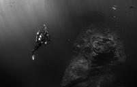 Diver_Underwater_By_Fish_and_Rock_Formation.jpg