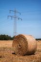 straw-current-strommast-straw-bales-895373.jpg