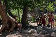 Waterfall_Trail_on_Fossil_Creek.jpg