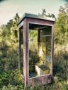 phone-booth-old-nature-leave-ruin-75839.jpg