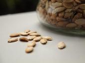 pumpkin-seeds-seed-grain-food-farm-506909.jpg