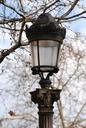 lighting-luminaire-electricity-711069.jpg