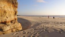 sand-dune-sea-usa-waldport-beach-1210175.jpg