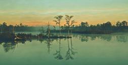 swamp-trees-nature-landscape-water-689355.jpg