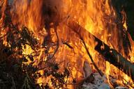 campfire-fire-burn-wood-flame-1486402.jpg