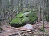 Large_boulders_along_the_Avalanche_Lake_Trail.jpg