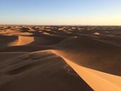 sand-dunes-desert-sky-horizon-hot-768520.jpg