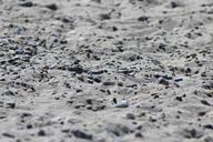 sand-stones-beach-pebbles-511673.jpg