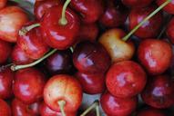 cherries-fruits-red-summer-846908.jpg