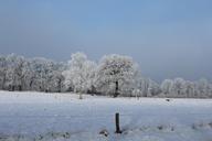 winter-landscape-snow-cold-trees-1153587.jpg